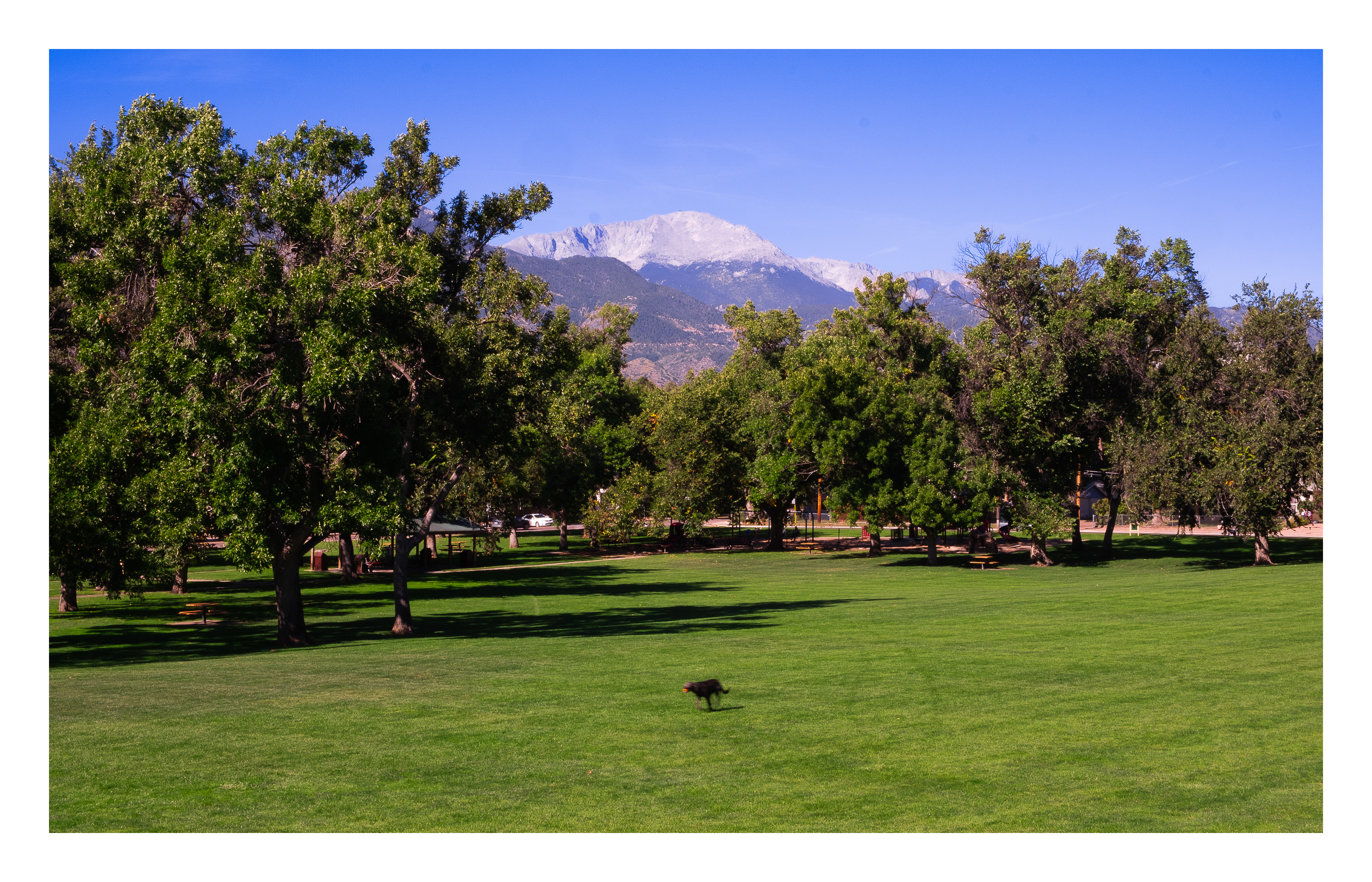 Twelve Views of Pikes Peak